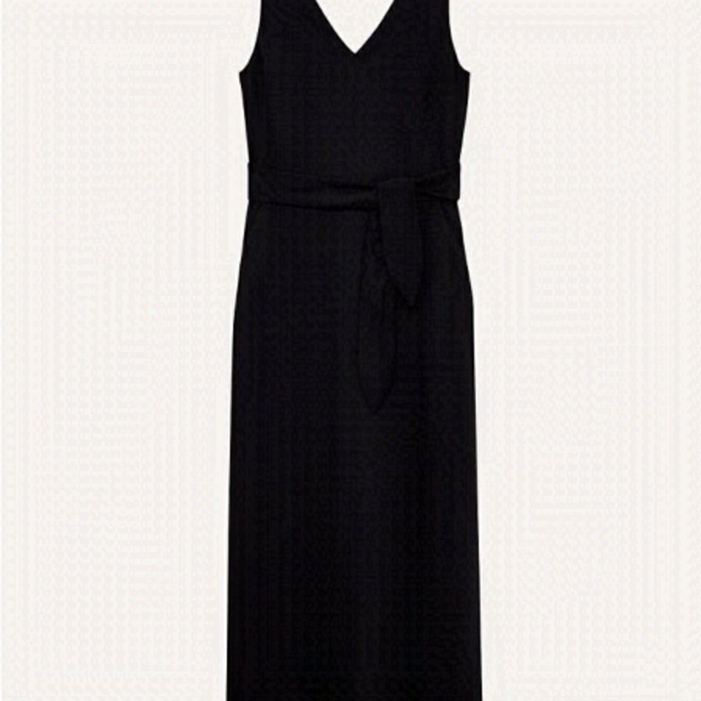 Aritzia Wilfred Écoulement Dress
